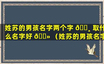 姓苏的男孩名字两个字 🌸 取什么名字好 🌻 （姓苏的男孩名字两个字取什么名字好一点）